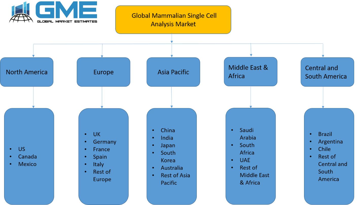 Mammalian Single Cell Analysis Market - Regional Analysis